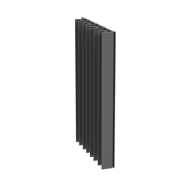 Paralline Fin