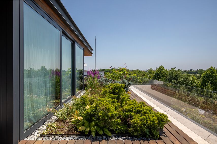 CW 50-SC Muros cortina y MasterLine 8 HI+ Ventanas - M House situado en Voluntari, Rumania