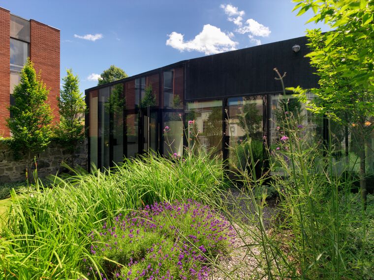 ConceptWall 50 Muros cortina - House Private House Flynn Mews situado en Dublin, Irlanda