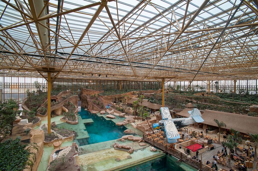 ConceptWall 50 Muros cortina, ConceptSystem 77 Ventanas, CS 77 HI Ventanas y CW 50-HI Muros cortina - Edenya en Pairi Daiza, el mayor invernadero tropical del mundo situado en Brugelette, Bélgica