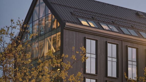 TimberWall 50