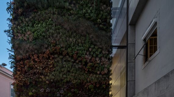 ConceptWall 50 Muros cortina, CP 50 Puertas correderas y plegables y ConceptRoof 120 Verandas - Bio-inspired Private House situado en Lisbon, Portugal